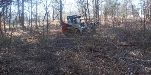 Land Clearing, Forestry Mulching, Brush Clearing, Free Estimate