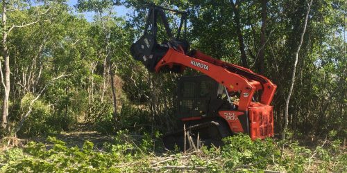 Land Clearing, Forestry Mulching, Brush Clearing, Free Estimate