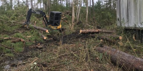 Land Clearing, Forestry Mulching, Brush Clearing, Free Estimate